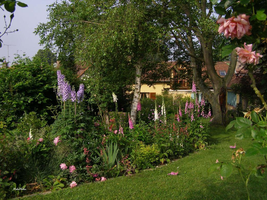 Gite Des Hortillonnages Camon (Picardy) Exterior foto