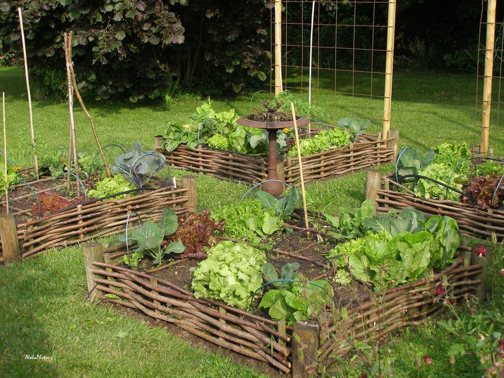 Gite Des Hortillonnages Camon (Picardy) Exterior foto